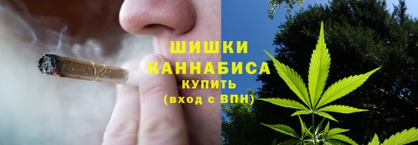 ГАЛЛЮЦИНОГЕННЫЕ ГРИБЫ Кодинск