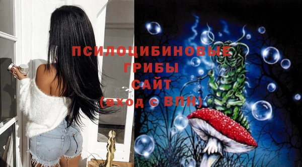 ГАЛЛЮЦИНОГЕННЫЕ ГРИБЫ Кодинск