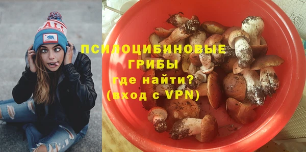 герыч Козловка