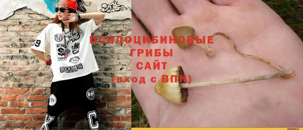 ГАЛЛЮЦИНОГЕННЫЕ ГРИБЫ Кодинск