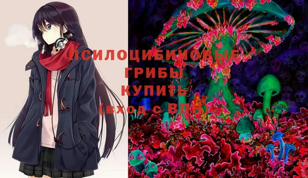 ГАЛЛЮЦИНОГЕННЫЕ ГРИБЫ Кодинск