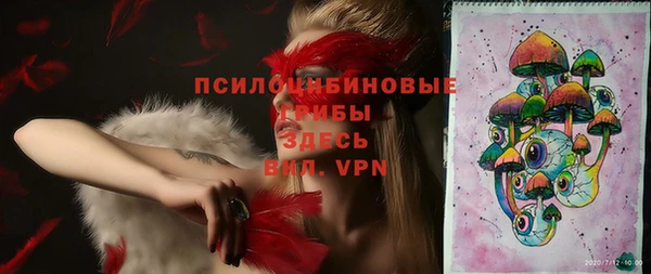 сатива Болотное