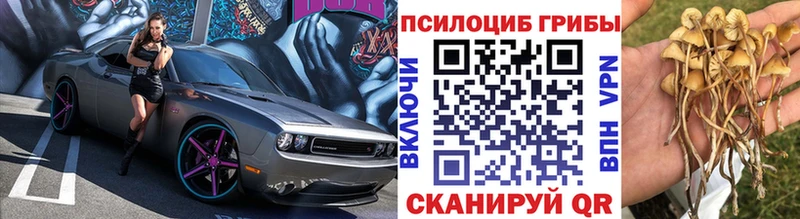 Псилоцибиновые грибы ЛСД  Крымск 